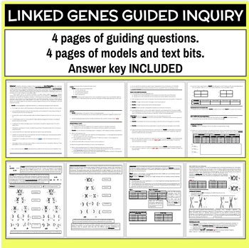 Figuring Out If Genes Are Linked Walkthrough