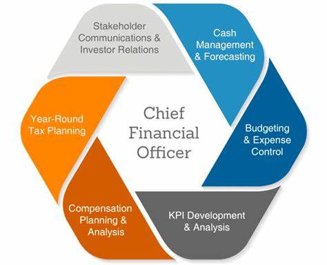 finance officer skills