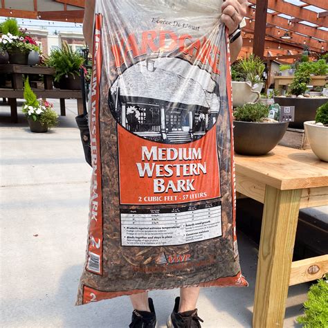 fine pine bark mulch