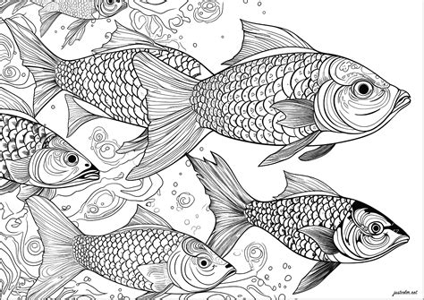 fish coloring page for adults