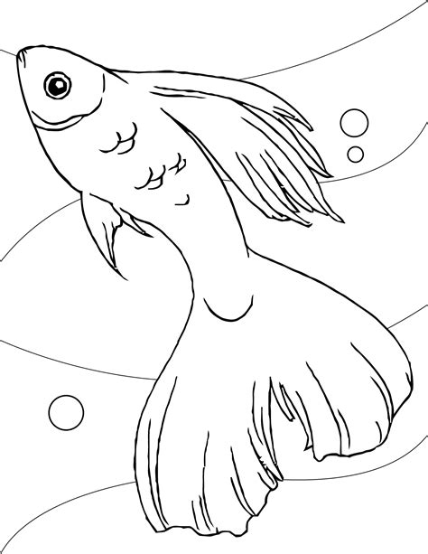 Fish Coloring Pages Coloring Wallpapers Download Free Images Wallpaper [coloring876.blogspot.com]