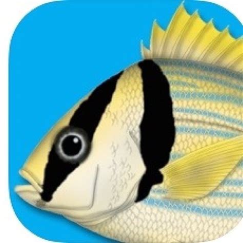 fish identification app camera