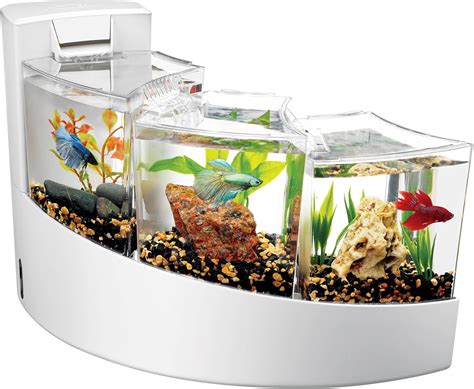 fish tank accessories