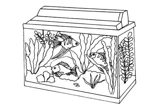 fish tank coloring page