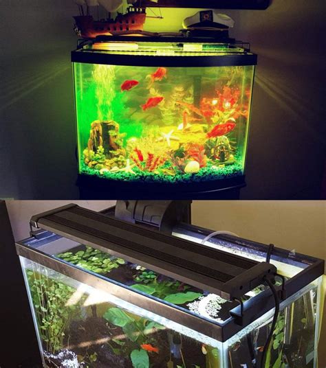 Fish Tank Lighting