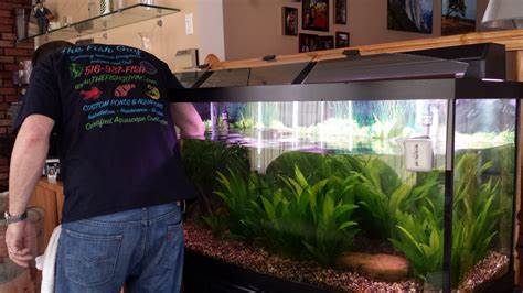fish tank servicing