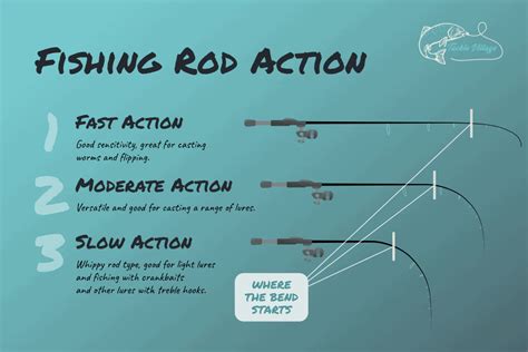 Fishing Rod Action Chart