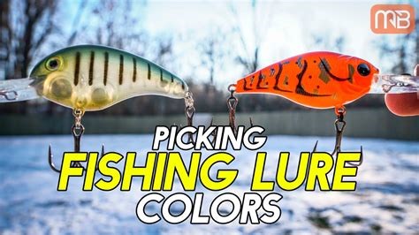 fishing spinner colors