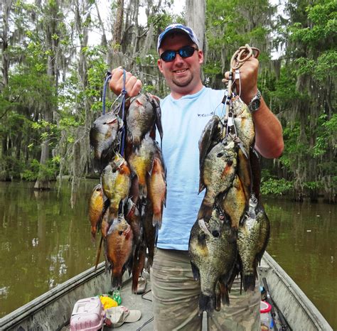 Best Fishing Spots in South Carolina