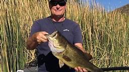 fishing tips in Arizona
