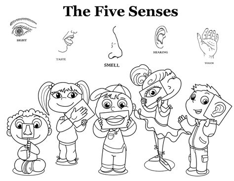 five senses coloring pages