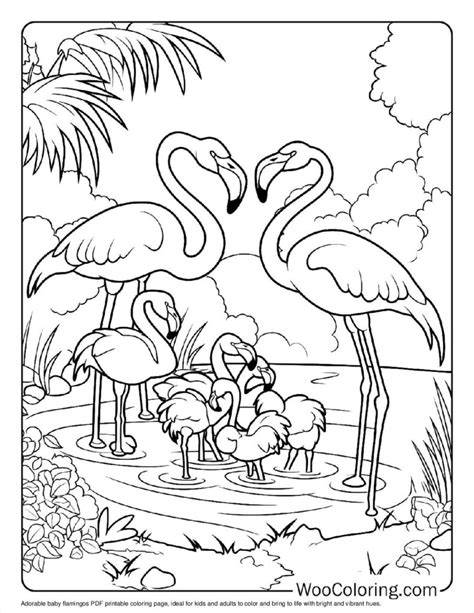 flamingo coloring pages pdf