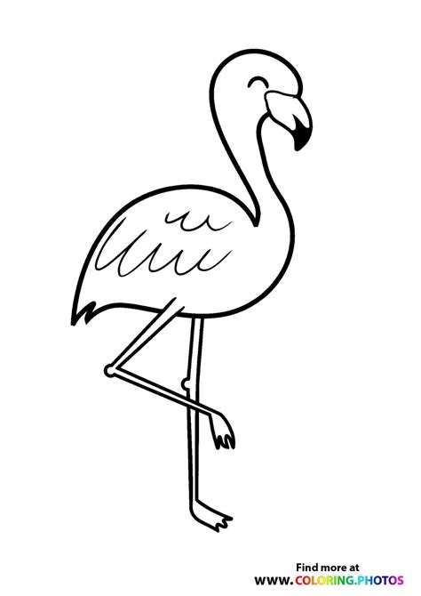 flamingo pictures to color