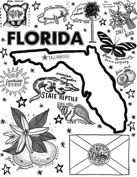 florida coloring pages