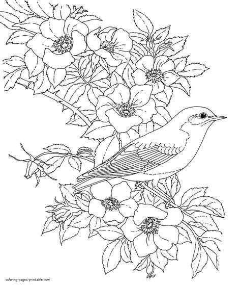 flower and bird coloring pages