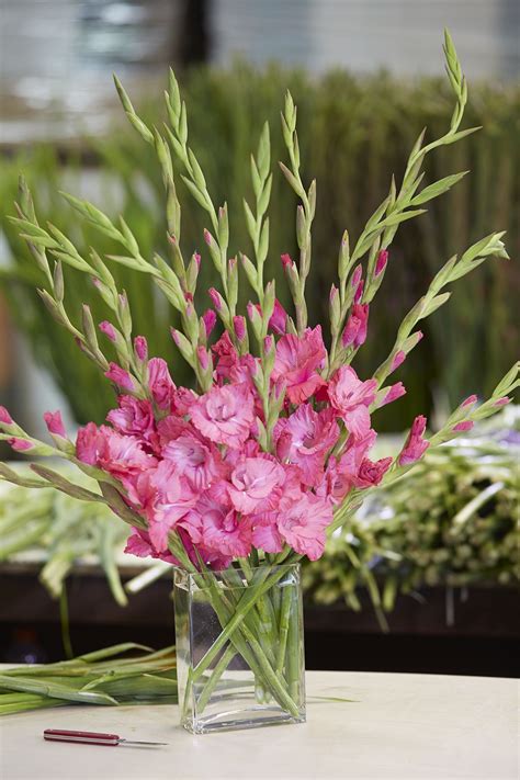 flower arrangements using gladiolus