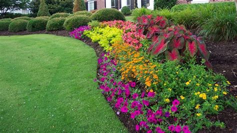 flower bed maintenance