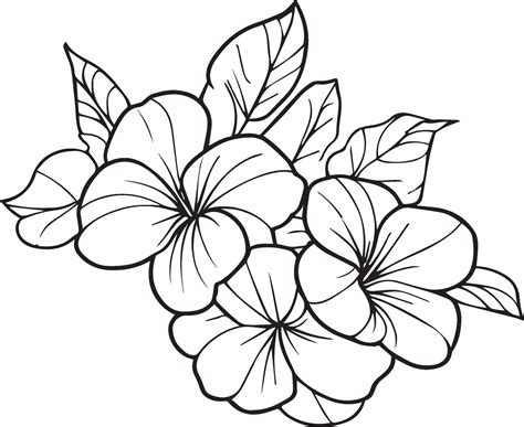 flower coloring drawing