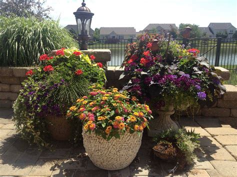 flower containers