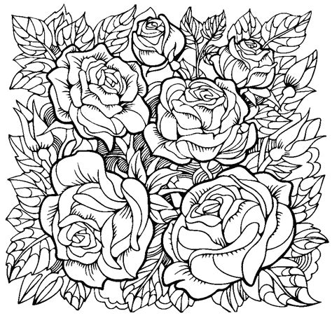 flower pictures to color for adults