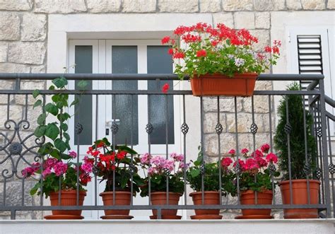 flower pots for balcony