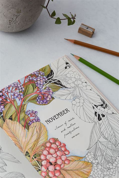 flower year coloring book