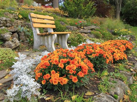 flowering fall gardens