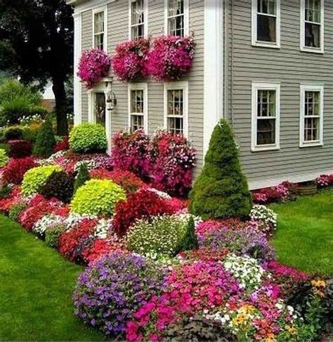flowers for front yard