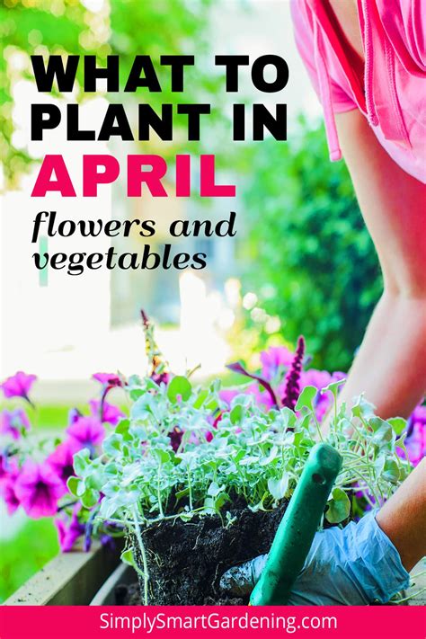flowers to plant in april