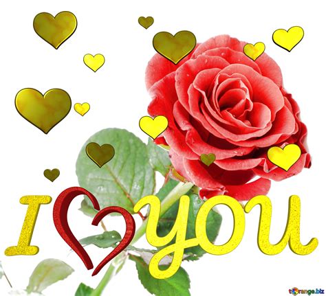 for you rose