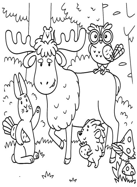 forest animals coloring pages