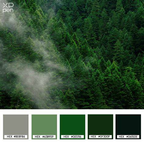 forest color palettes