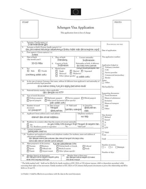 formulir visa
