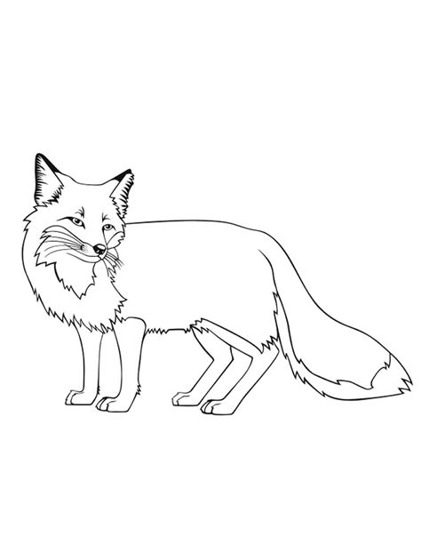 fox coloring sheet