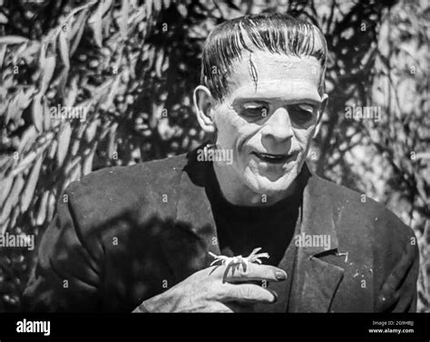 frankenstein smile