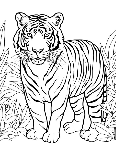 free animal coloring pages to print