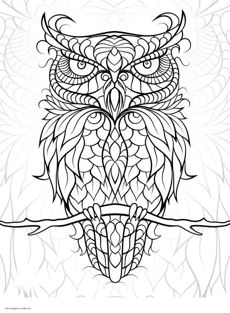 free bird coloring pages for adults