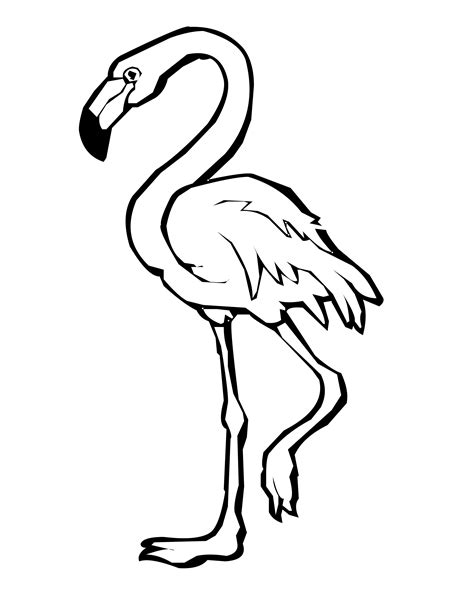 free flamingo coloring pages