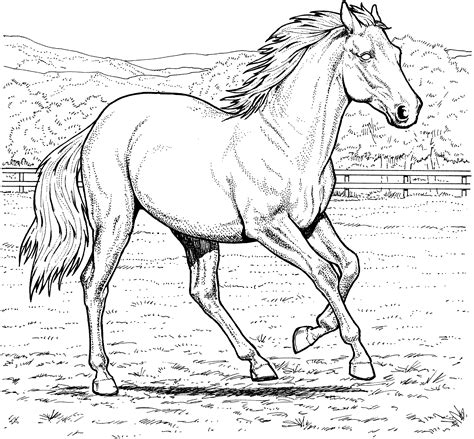 free horse pictures to print and color