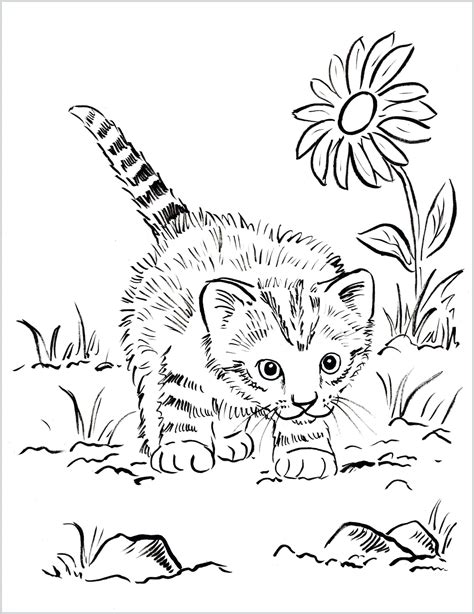 free kitten coloring pages