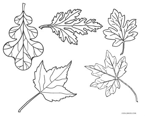 free leaf coloring pages