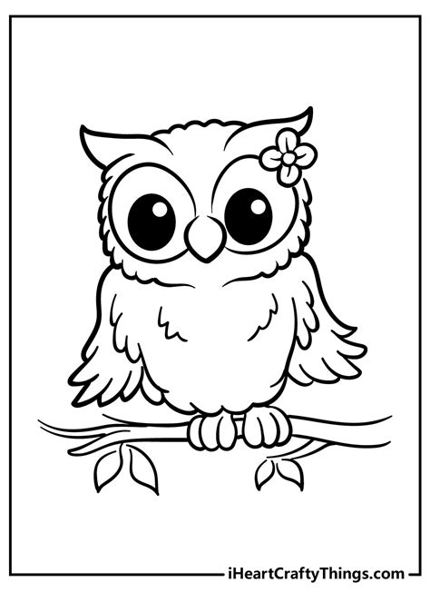 free owl coloring page