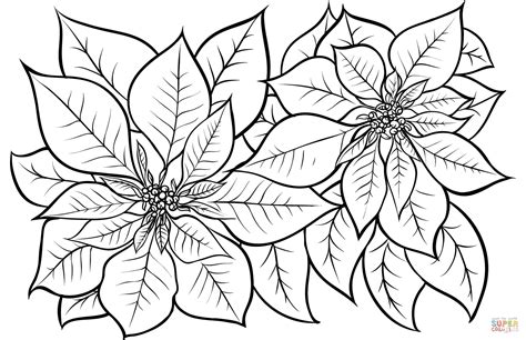 free poinsettia coloring pages