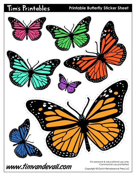 free printable butterfly pictures to print