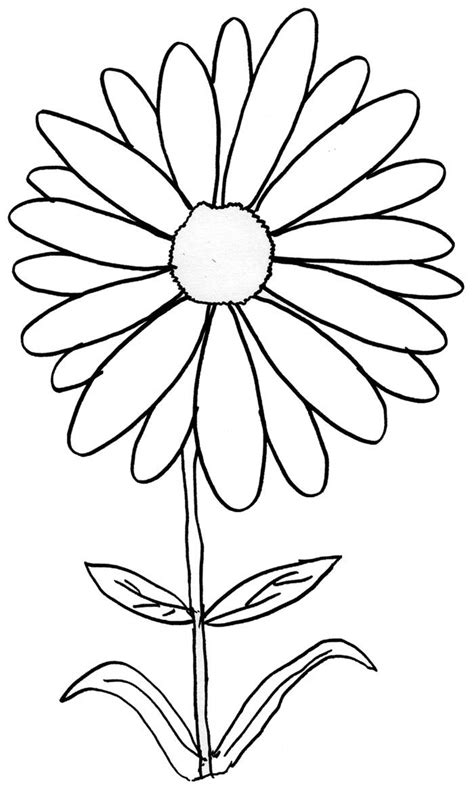 free printable daisy coloring pages