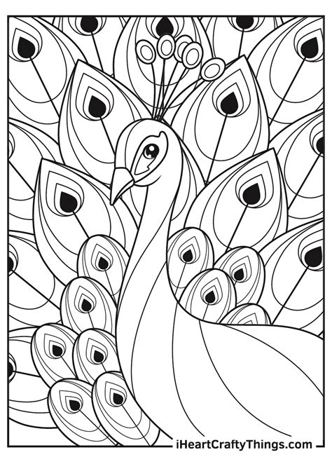 free printable peacock coloring pages for adults