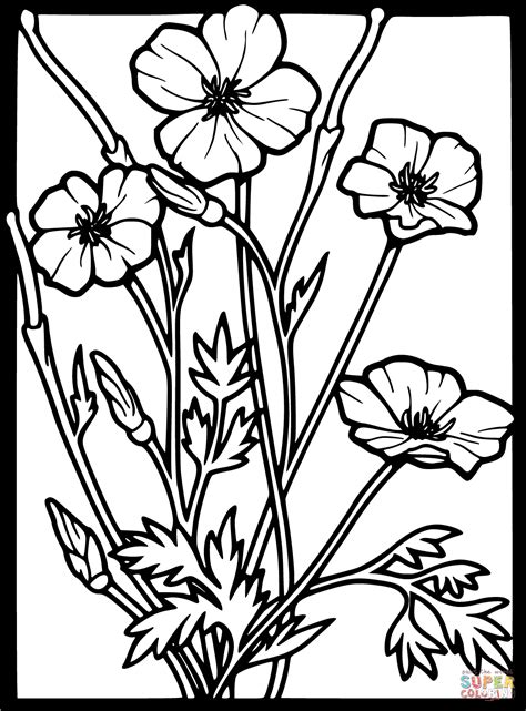 free printable poppy coloring pages