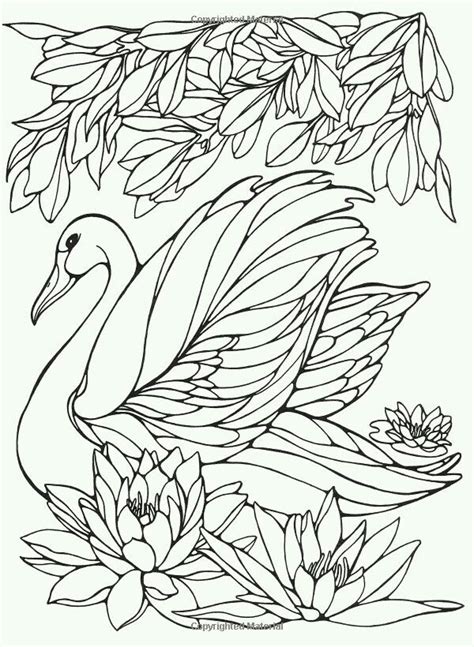 free printable watercolor coloring pages