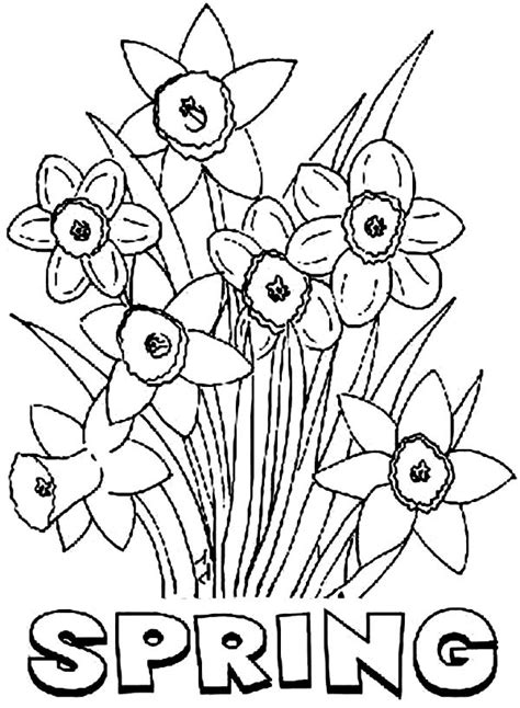 free spring flower coloring pages