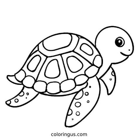 free turtle coloring pages